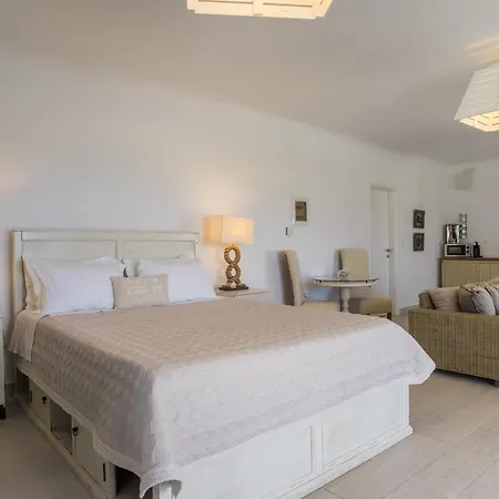 Chrysalis Nature 8 公寓 Páros